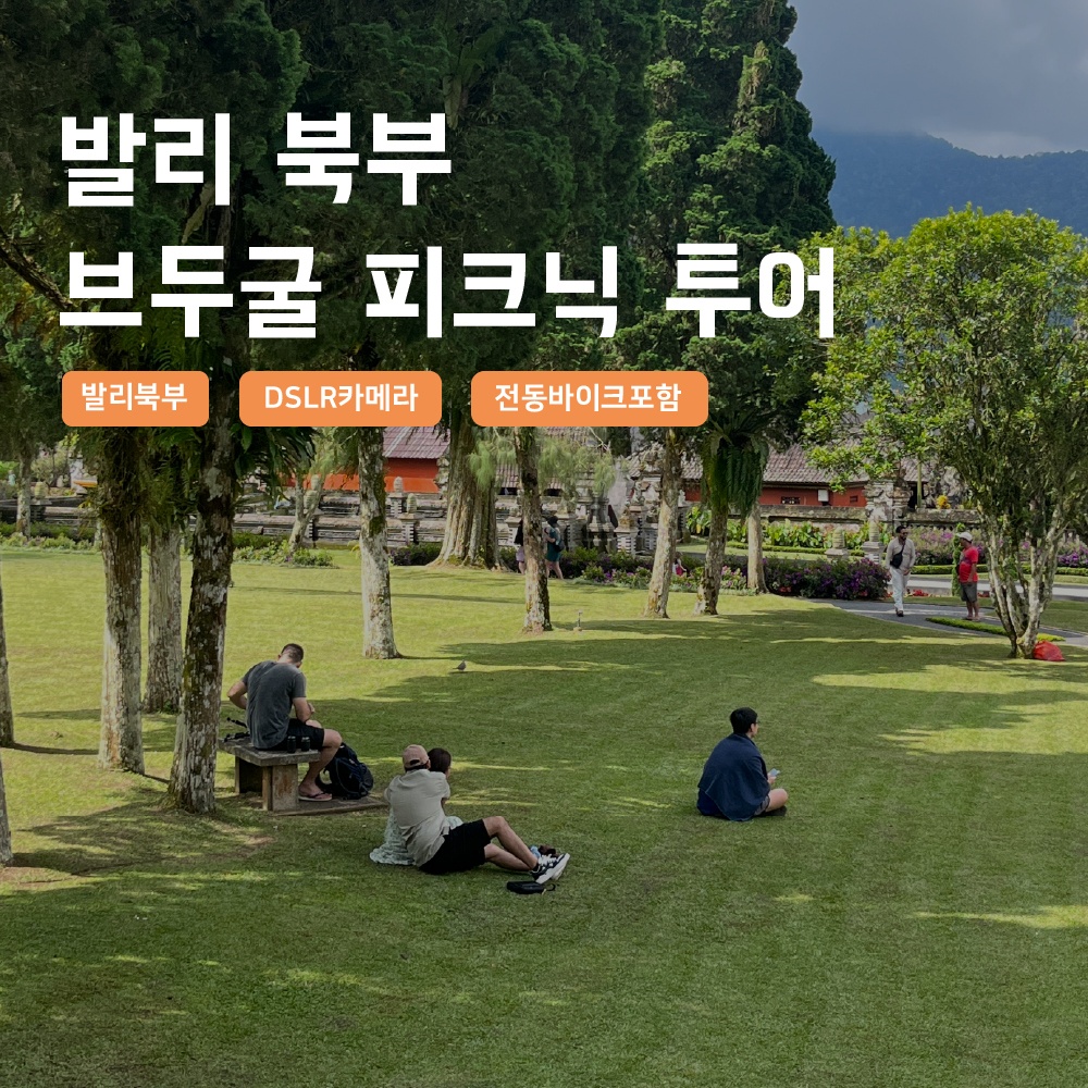[발리] 발리 북부 브두굴 피크닉투어 한국어가이드 택시투어 폭포 후기 – 내돈내산 체험기