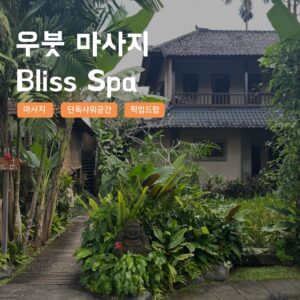 [발리] 우붓 Bliss Spa 마사지 우붓감성 단독 프라이빗 샤워실 라이스테라스 픽업샌딩 솔직 리뷰