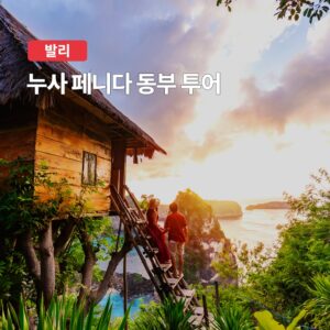 발리 누사페니다 동부 프라이빗 투어, 가성비 최고 추천템