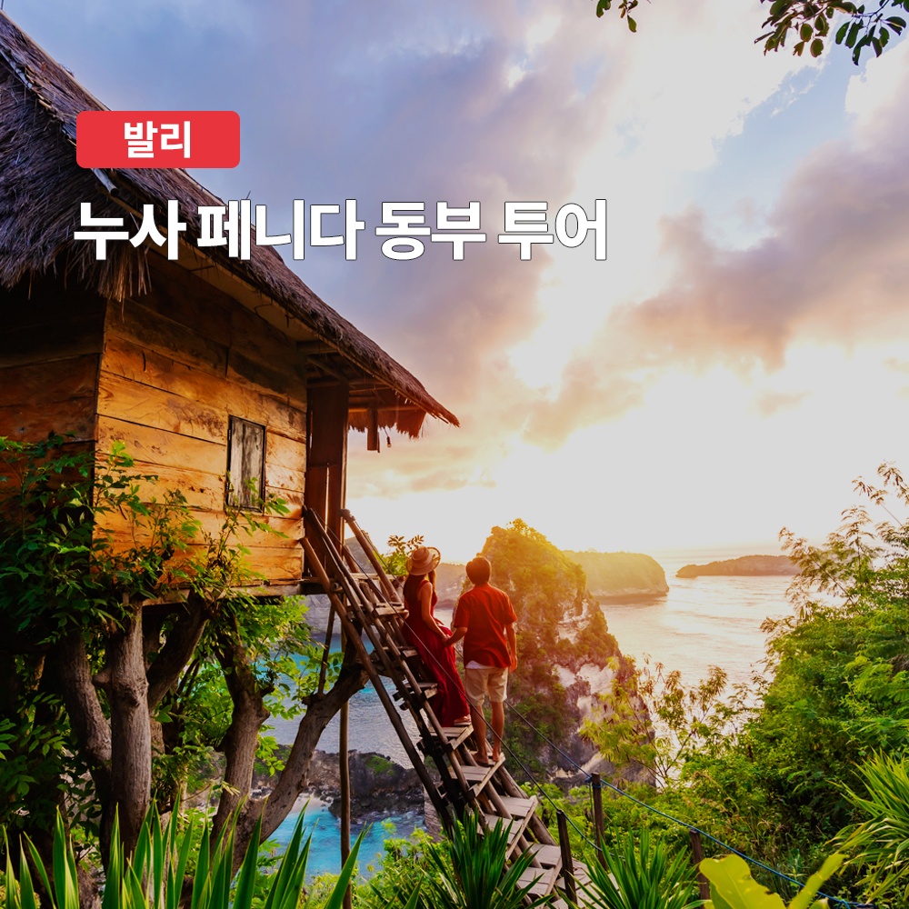 발리 누사페니다 동부 프라이빗 투어, 가성비 최고 추천템