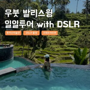 [발리] 발리스윙 우붓 일일투어 미술관 알라스하룸 크레트야 한국어가이드 택시투어 솔직 후기와 추천