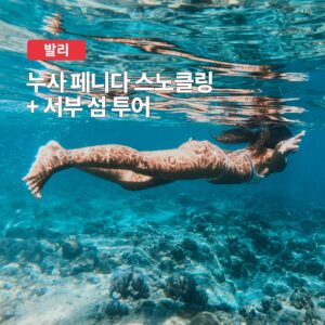 발리 누사페니다 스노클링 서부 섬투어 – 진짜 추천하는 이유
