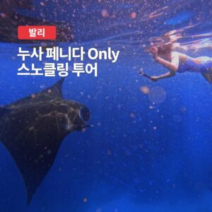 “발리 누사페니다 Only 스노클링 투어, 이제 가성비 좋게 즐기세요”