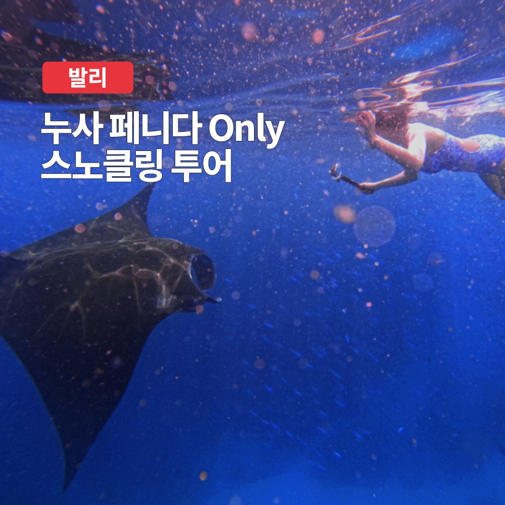 “발리 누사페니다 Only 스노클링 투어, 이제 가성비 좋게 즐기세요”