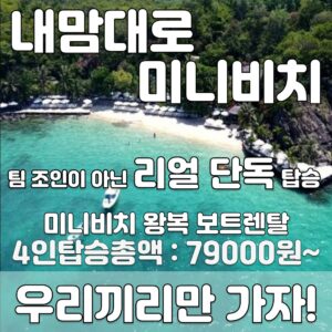 [보트당 요금] 나트랑 미니비치 스피드보트 왕복 단독 프라이빗 해변 호핑투어 스쿠버다이빙, 진짜 꼭 이용해야 할 이유