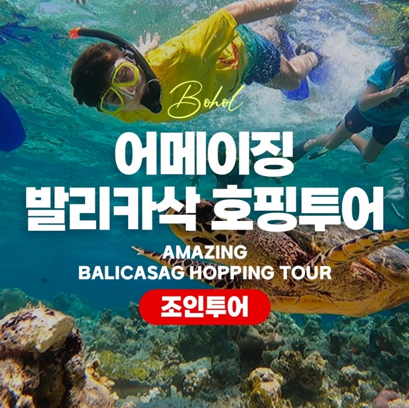 보홀 호핑투어 어메이징 발리카삭 버진아일랜드 한국인가이드진행 솔직 사용 후기