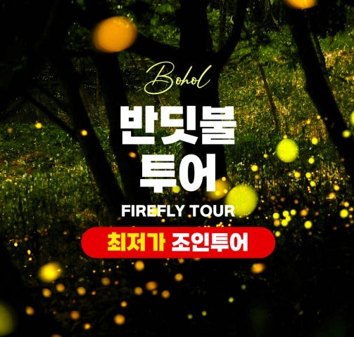 보홀 반딧불투어 3개 포인트, 꼭 가봐야 할 이유
