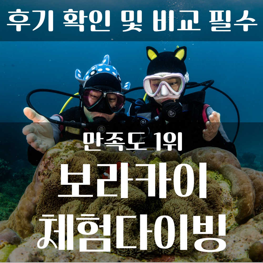 [블루핀 다이빙 센터] 보라카이 스킨스쿠버다이빙 체험다이빙 액티비티 자유여행 추천 후기