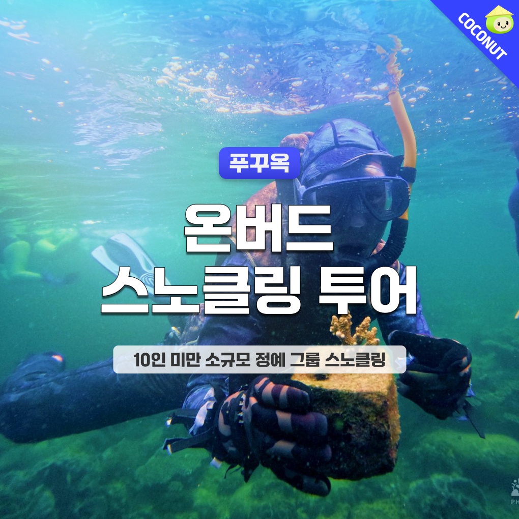 [소규모 스노클링] 푸꾸옥 온버드 프리미엄 스노쿨링 호핑투어 프리다이빙 예약센터, 정말 추천해요