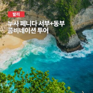 여행하기 좋은날의 발리 누사페니다 서부 동부 콤비 프라이빗 투어 추천
