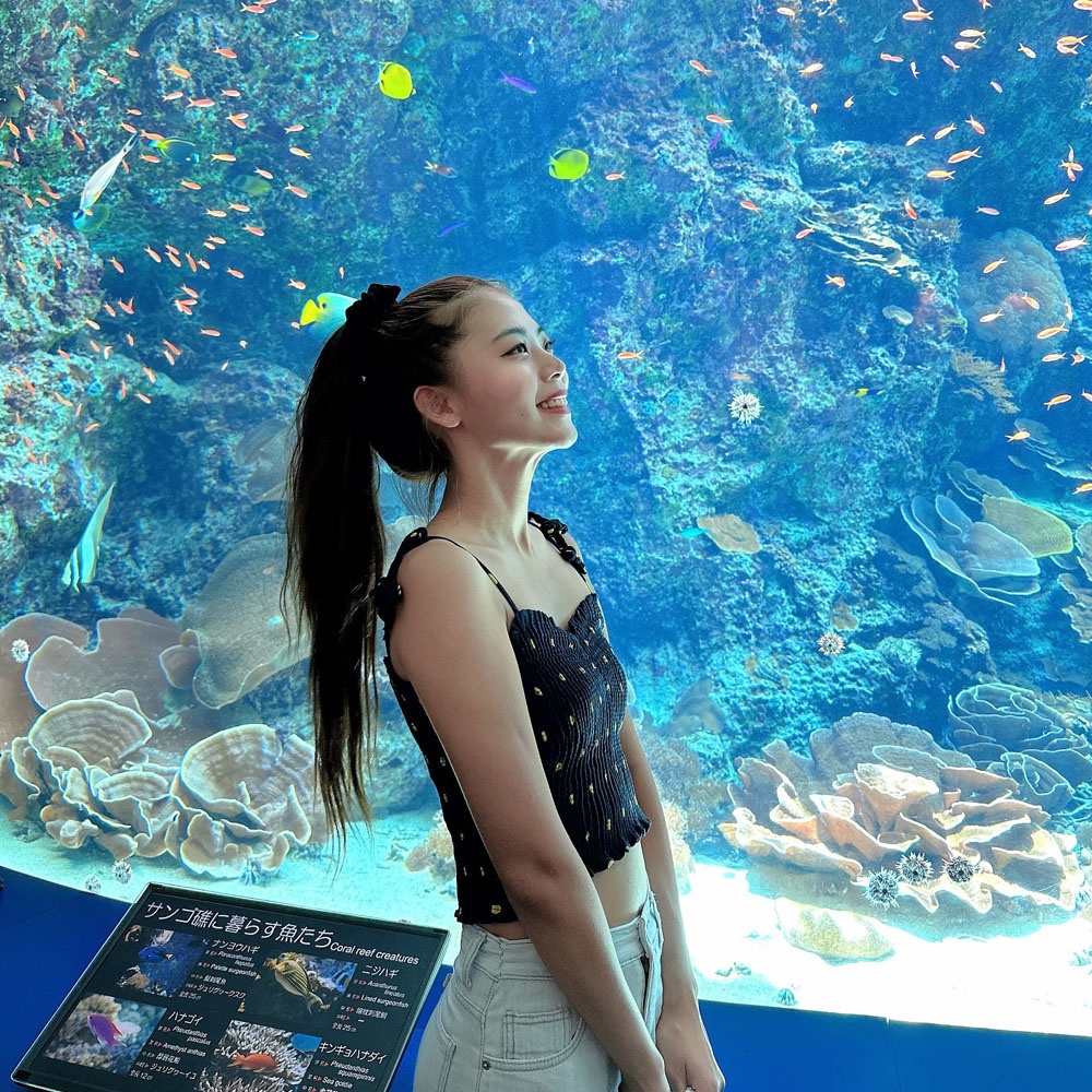 “오키나와 버스투어 북부 1일 츄라우미수족관 티켓포함 유투어버스, 최강 가성비 체험기”