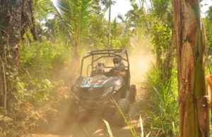 인도네시아 발리 빠양안 버기카 투어 후기, 숨겨진 여행의 재미