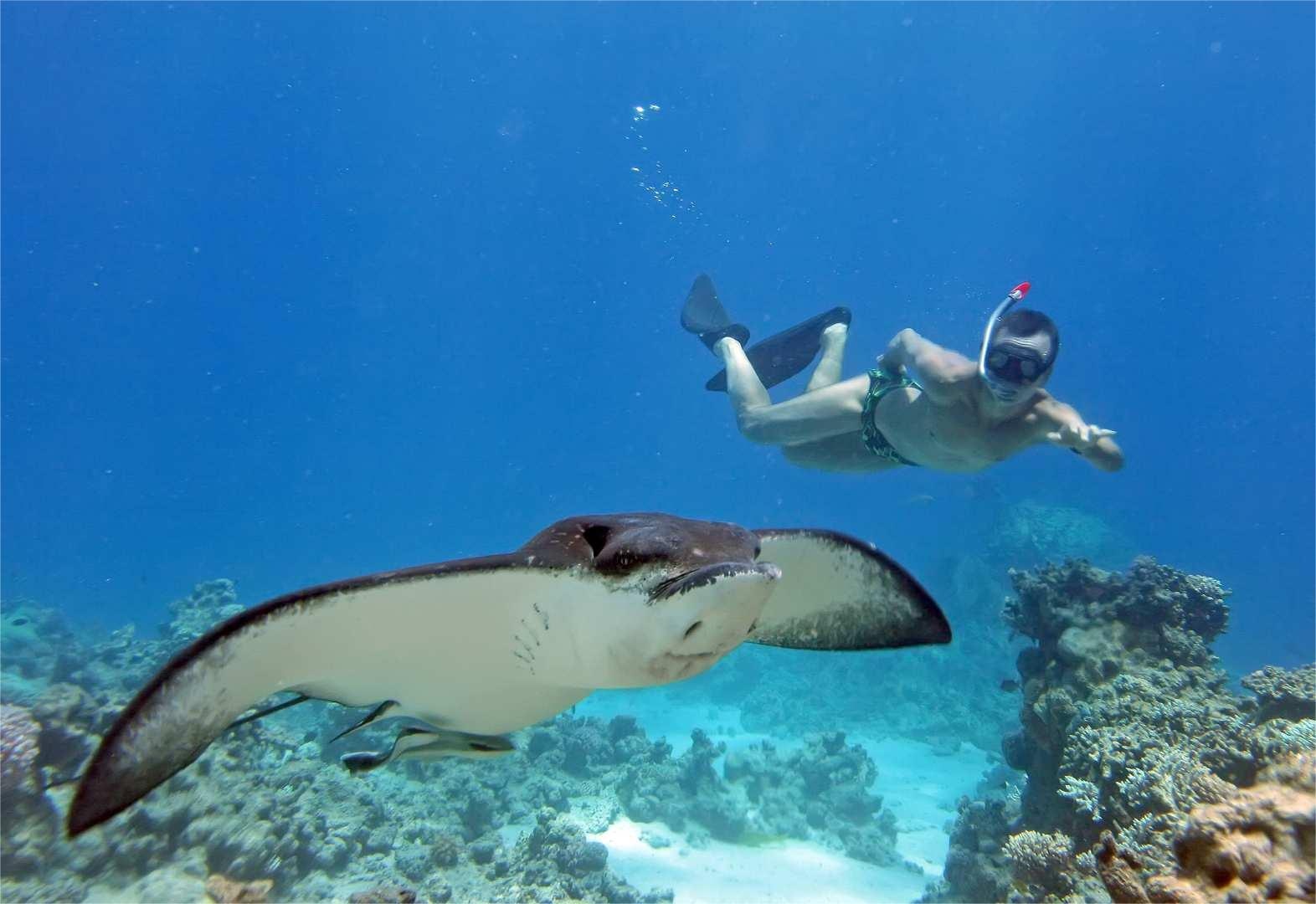 “인도네시아 발리 누사 렘봉안 & 누사 페니다 스노클링 체험” 솔직 후기, 가성비가 최고