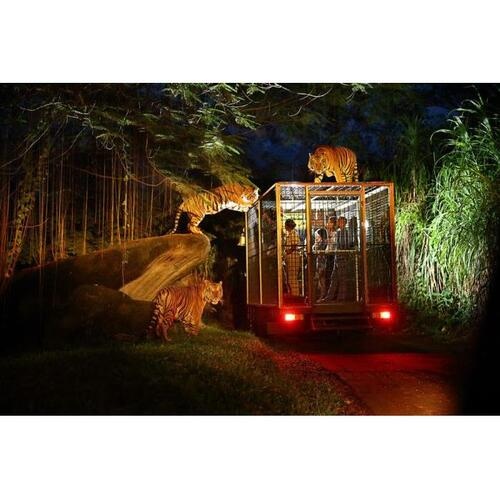 인도네시아 발리 사파리 & 해양 공원 나이트 사파리 후기, 믿고 가는 필수 여행지