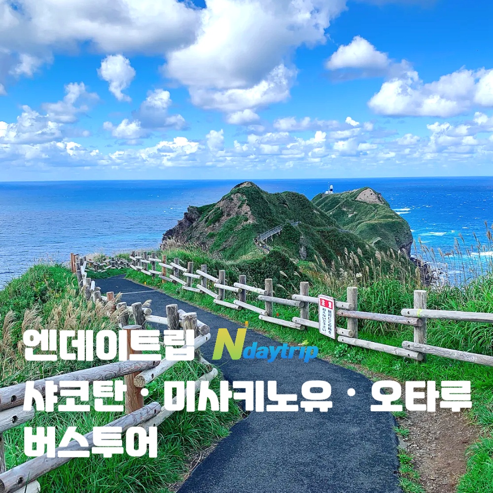 “인생샷 명소 샤코탄&오타루 오르골 거리 바다 전망 온천 특전 일일 버스투어” 솔직 후기