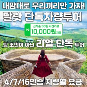 [차량당 요금] 달랏투어 단독차량 베트남 달랏 여행 나트랑출발 자유 당일투어 후기