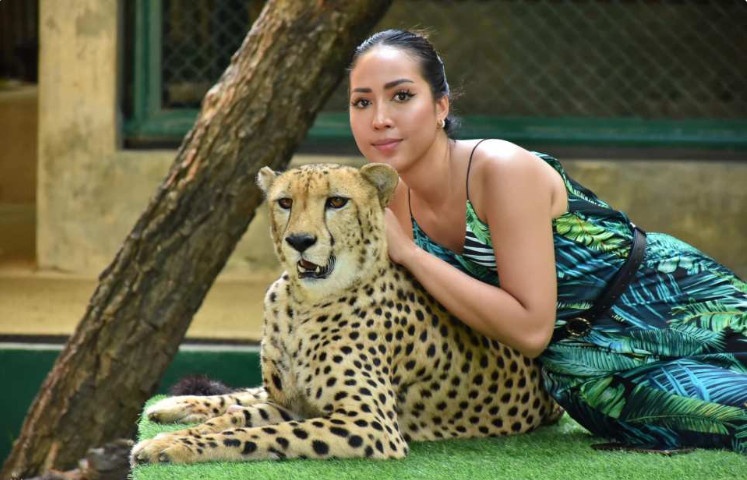 태국 타이거 킹덤 푸켓 동물과의 만남 티켓 솔직 후기