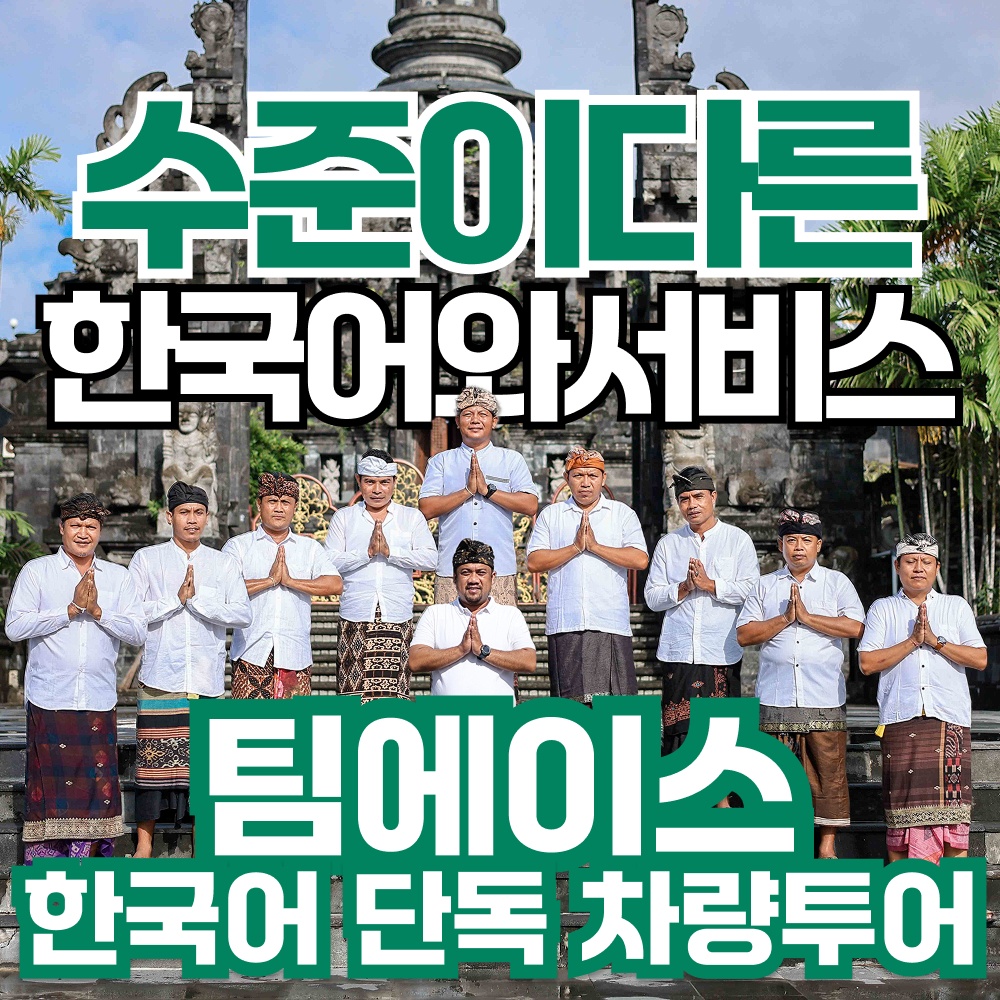 팀에이스 발리 한국어 가이드 투어, 내가 경험한 진짜 장점은?