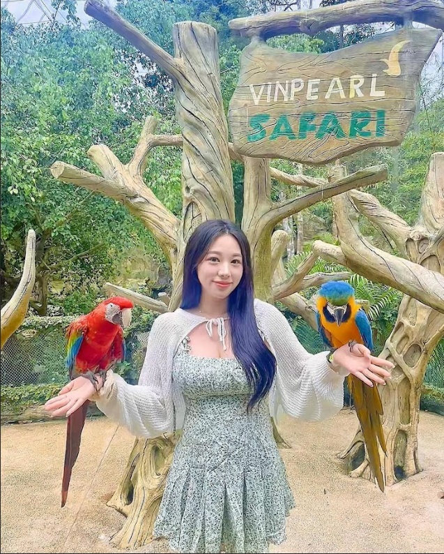 푸꾸옥 북부 사파리 얼리모닝투어 마사지 픽업 샌딩 포함 가성비 최고템 리뷰