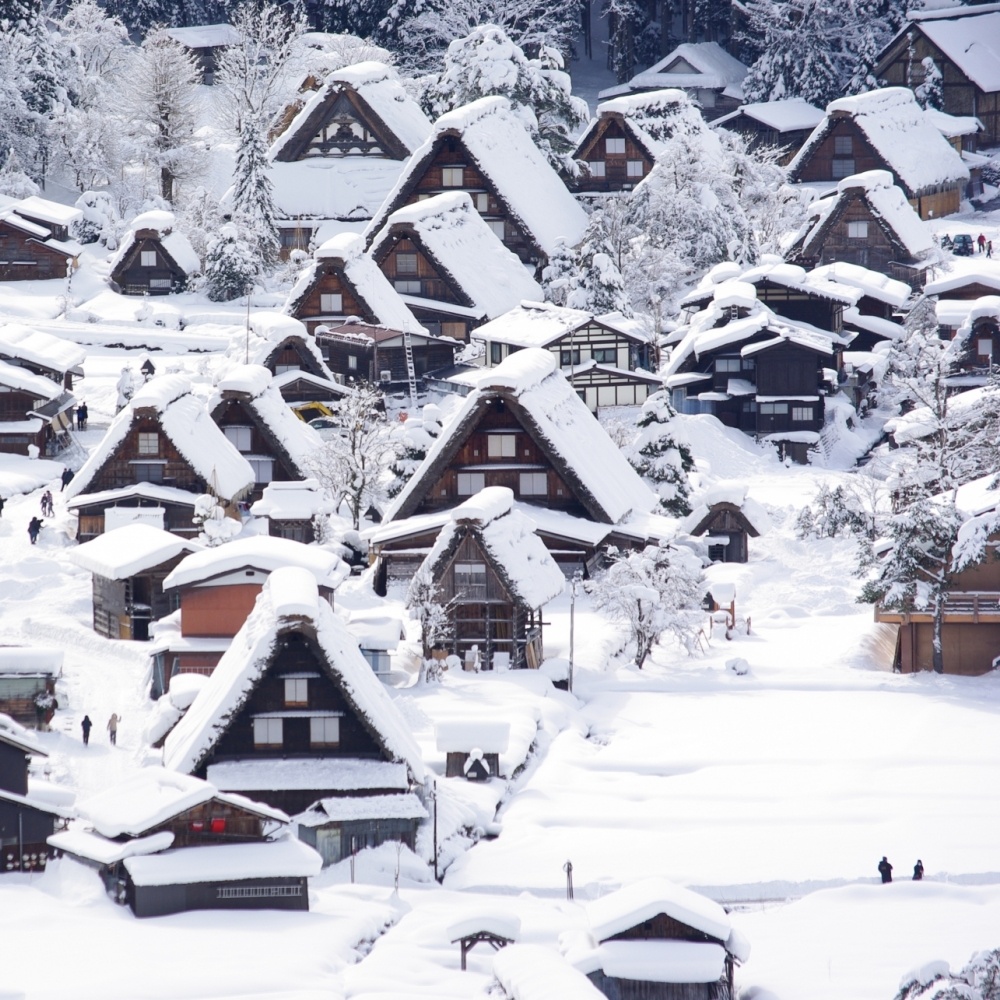 [한국인가이드&통행료포함] 나고야 다카야마 시라카와고 버스투어 히다규카레빵 특전, 가성비 최고랍니다